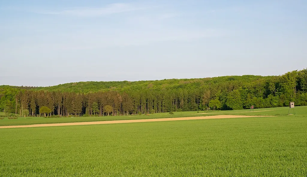 Naturschutzgebiet Hinnenburger Forst mit Emder Bachtal, Kreis Höxter; Blick von Nieheim-Erwitzen Richtung Südosten