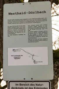 Grabhügelfeld in Burgthann