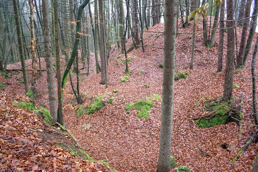Wall-Graben-Reste auf dem Heideknock