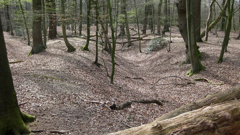 monsilienburg_waelle