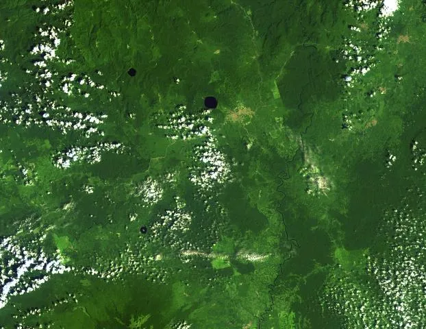 Three lakes (maars) of Tombel Graben between Mount Cameroon (lower left) and lava flows from Manengouba volcano (top). The largest circular lake, just above center, is Lake Barombi Mbo. The two smaller circular lakes are Lake Dissoni in the north and Lake Barombi Koto in the south. The river running from the northeastern corner and south is the Mungo River.