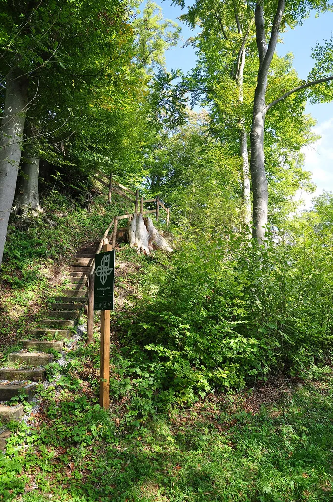 Greifenberg, Burgstelle in Bäretswil (Switzerland)