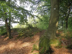 Hünenburg bei Rumbeck