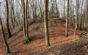 Burg Alt-Sternberg