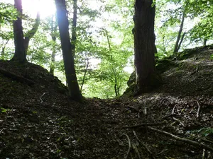 Burg Neuhaus (Eltville)