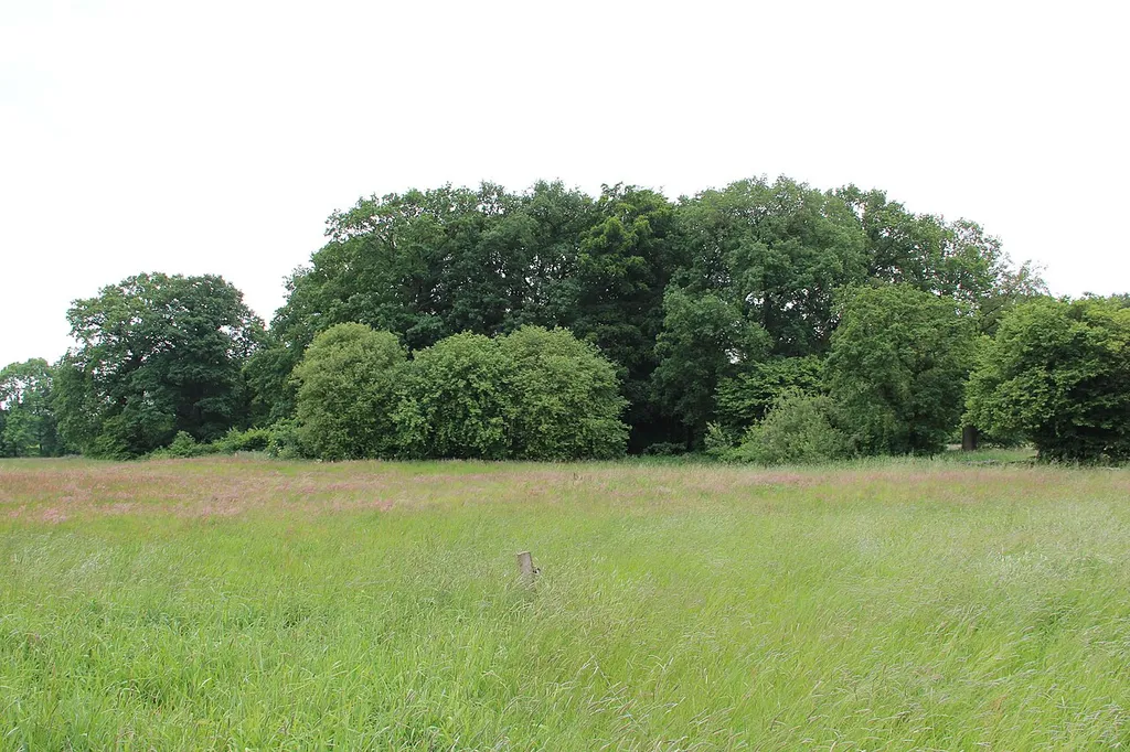 Burgplatz Mansingen bei Westerstede, Landkreis Ammerland, Niedersachsen (2012)
