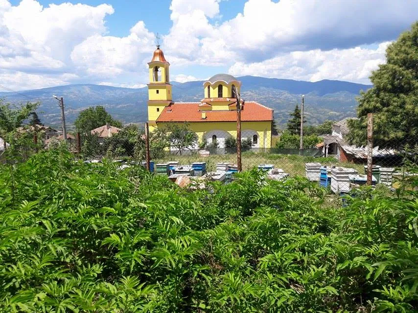 This is a photo of a monument in UnknownUnknown in Bulgaria identified by the ID