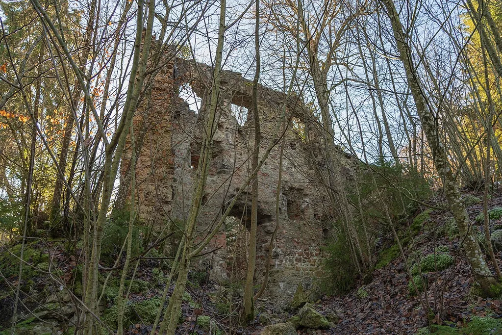 Burgruine Neu-Tannegg