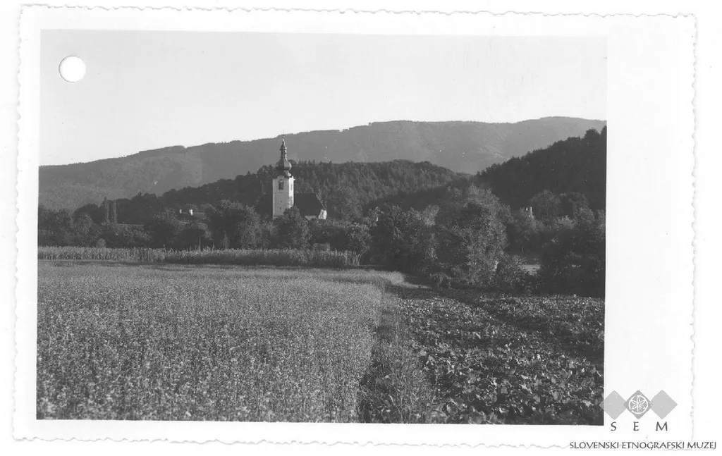 Postcard of Limbuš