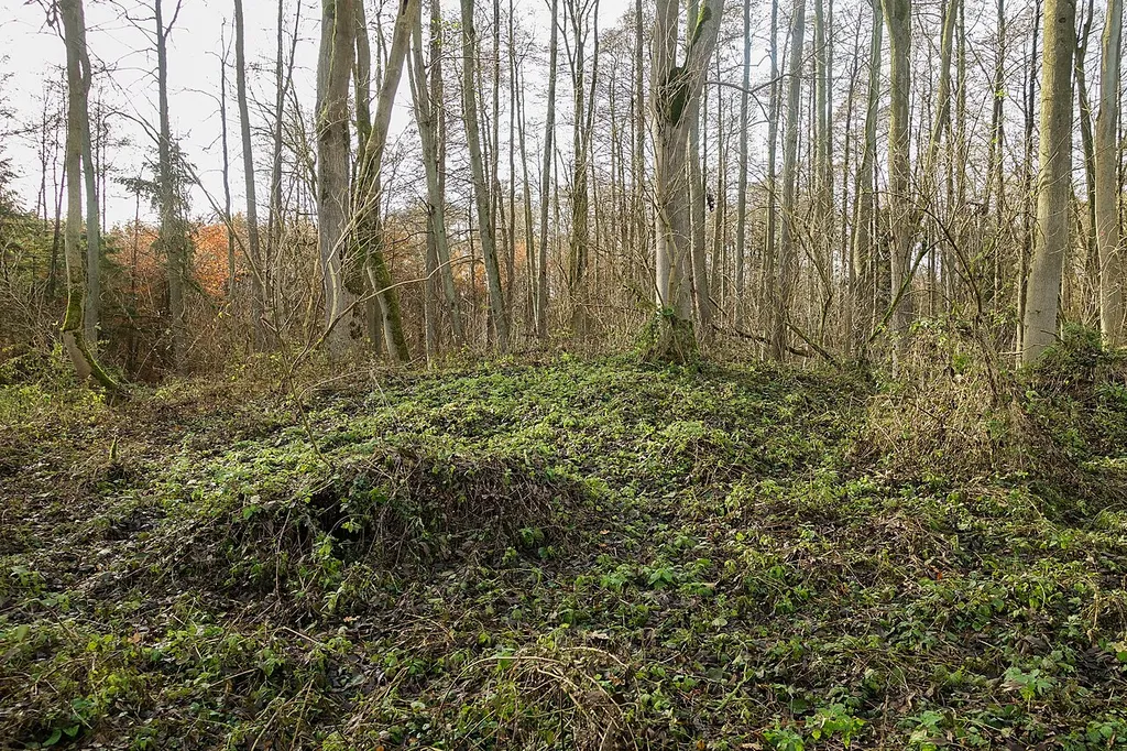 Der Mottenhügel der Kettenburg von Norden