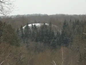 Rokantiškės hillfort
