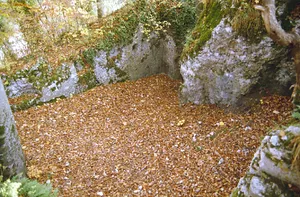 Bärenfels (Eschberg), medieval castle ruins