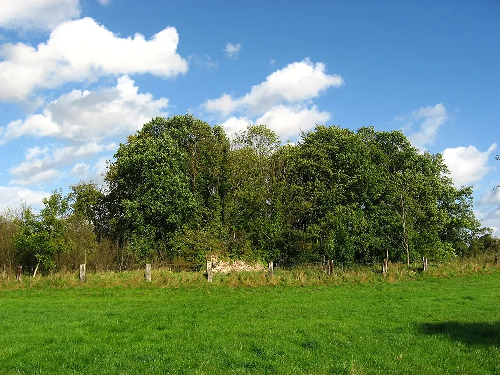 Ruine Rauschenburg, Ansicht von Südwesten