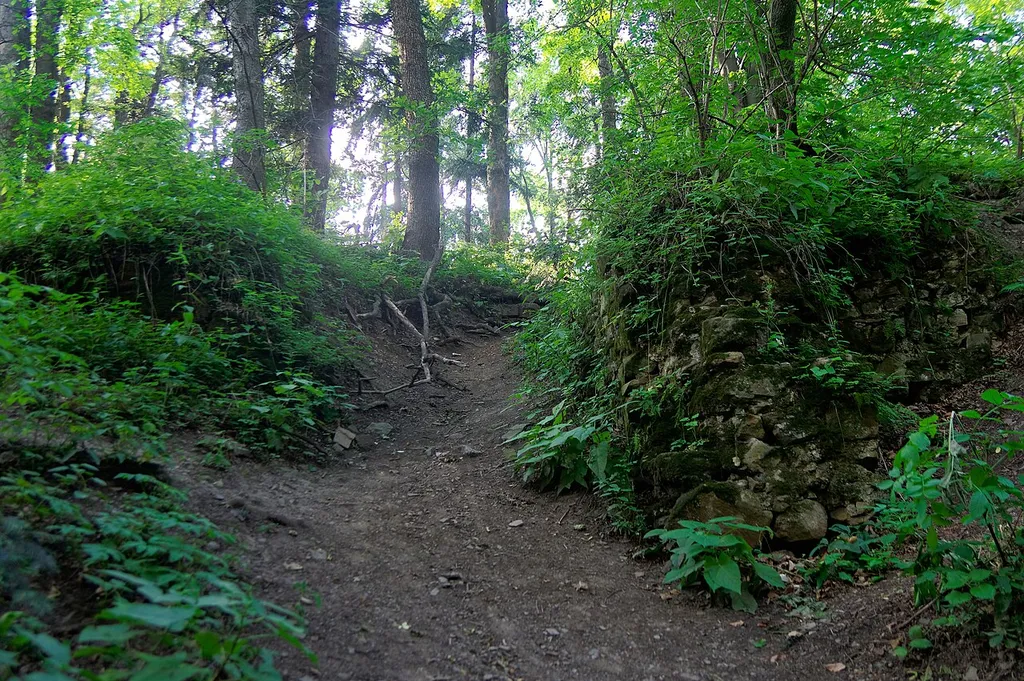 The remains of the walls of Barwałd Castle
