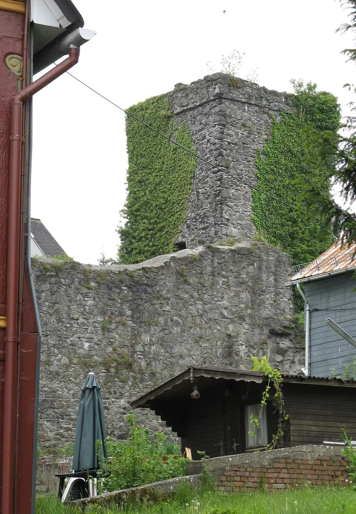Reste der Oberburg und der Stadtmauer in Driedorf