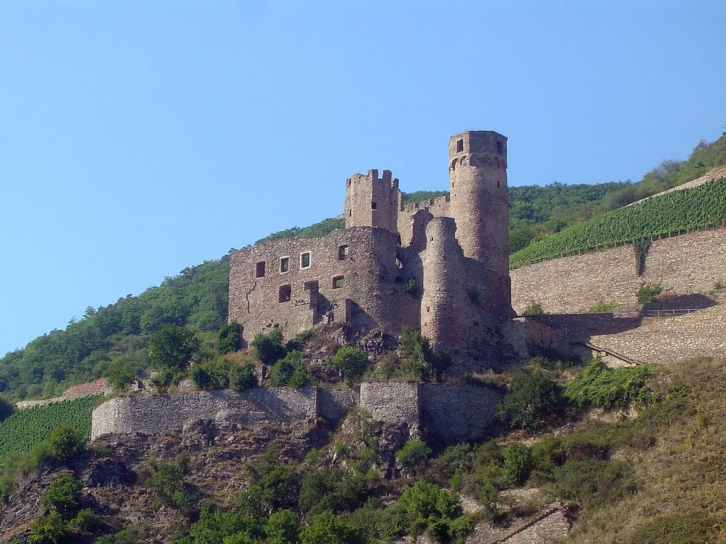 Die Burgruine Ehrenfels bei Rüdesheim (Rhein)