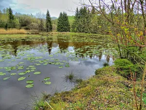 Grubengelände und Wälder bei Burgholdinghausen