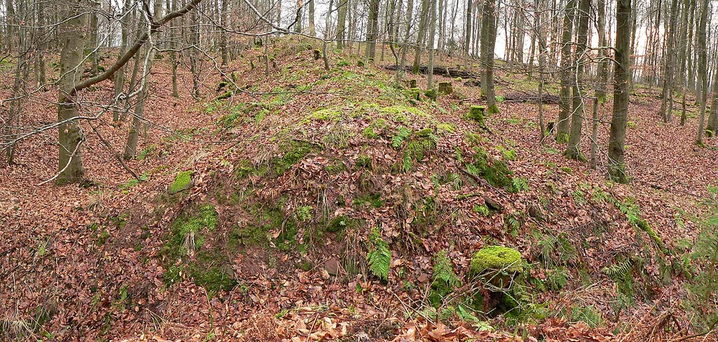 Hünenburg Hemeln, Wall an der Ostseite, Blick nach Süden mit einem Wallschnitt als Grabungsschnitt durch Wall und Graben von 1966, links der außen vorgelagerte Graben, rechts der Innenraum