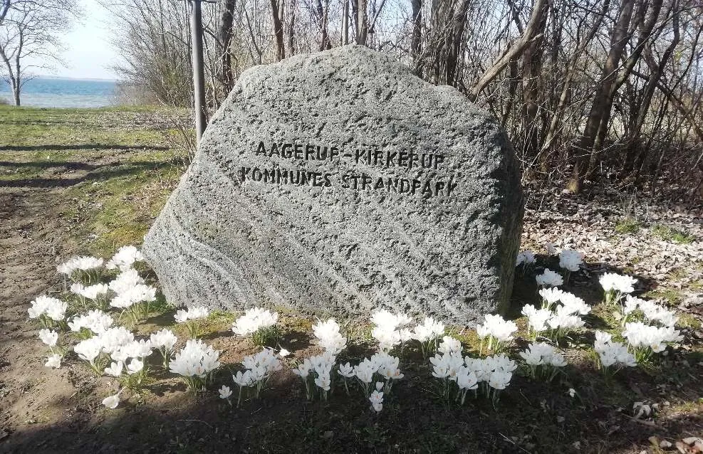Ågerup-Kirkerup Strandpark. Vinteren 2021