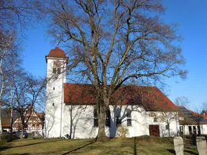 Linde bei der Kirche