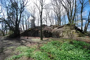 Burg Rosenegg (Hegau)