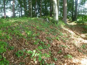 Burgstall Holzöster