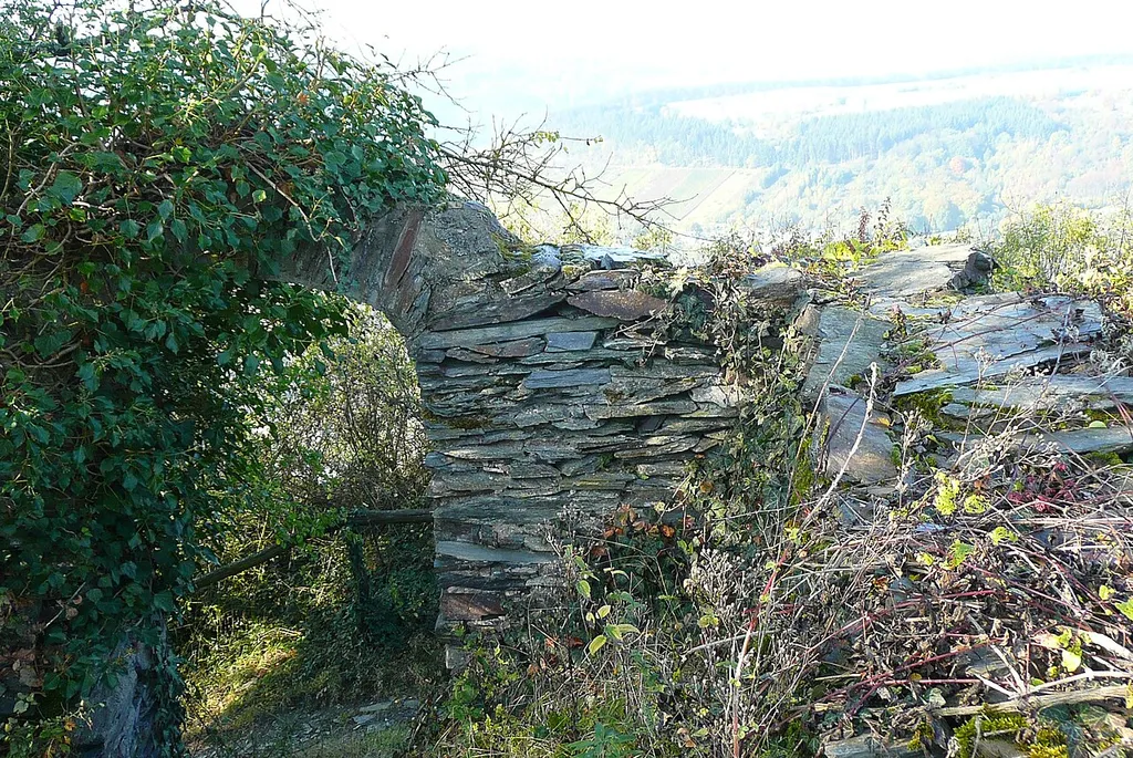 Ruins of the Starkenburg (Moselle)