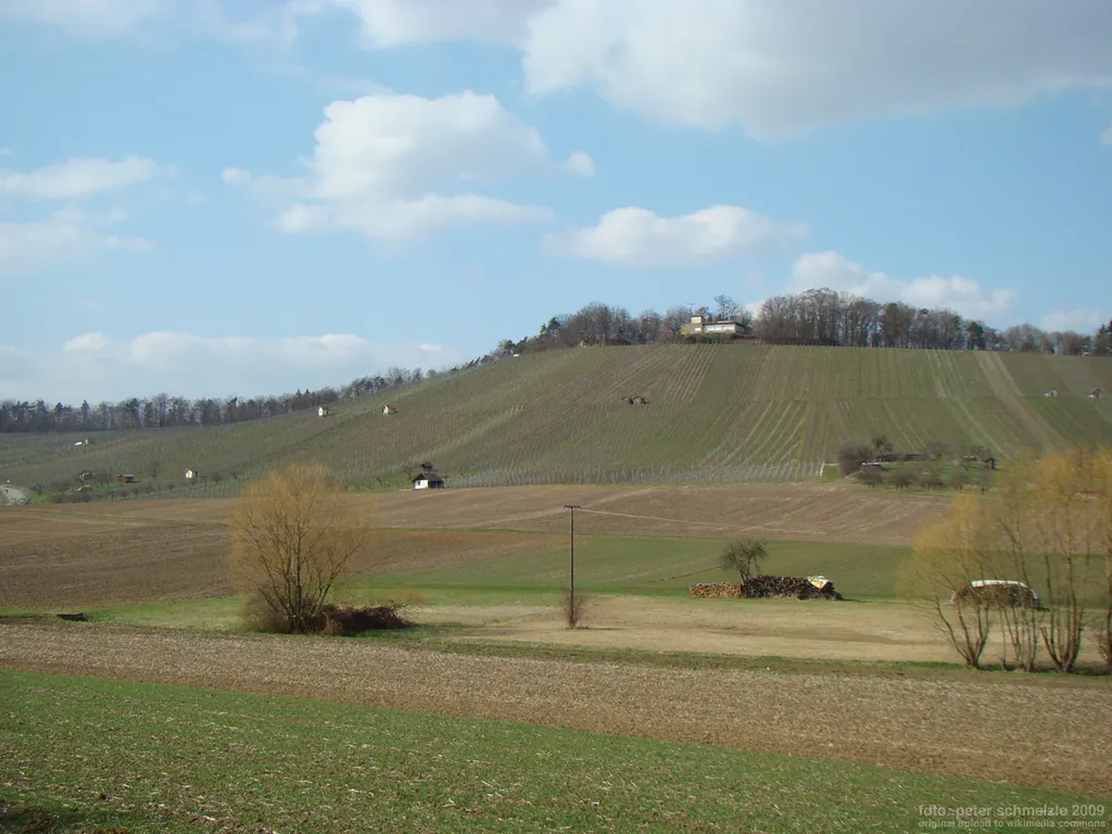 Burgberg der Leinburg bei Kleingartach