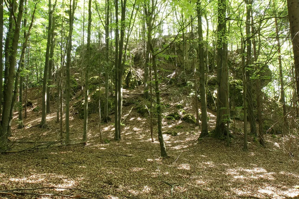 Burgstall im Eibental