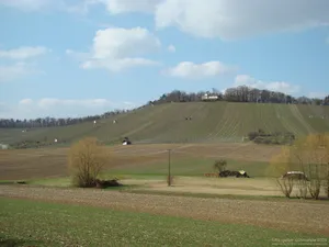 Leinburg (Kleingartach)