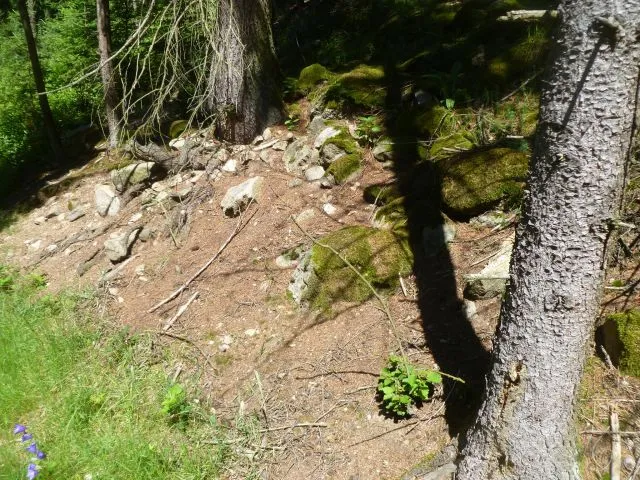 Burgruine Möstling