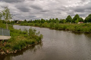 Zwischen Heidelberg und Ladenburg (Heidelberg)