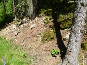 Burgruine Möstling