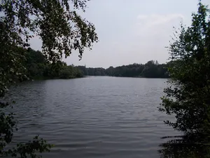 Erft zwischen Bergheim und Bedburg