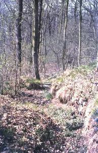 Alte Burg