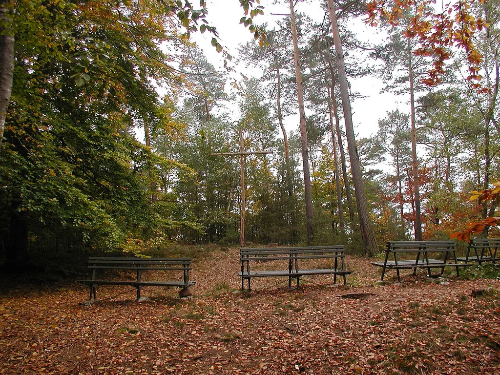 Burgstelle der Burg Sterrenberg