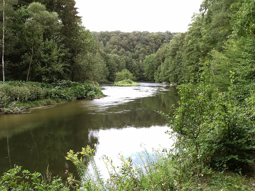 Zwickauer Mulde river above Rochsburg (Lunzenau, Mittelsachsen district, Saxony)