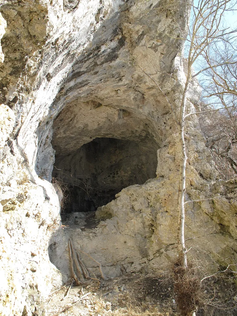 Burgstallhöhle, mit Vorhöhle (ca. 10m x 9m groß) und der, sich hinter einer bis zu 4m hohen Fesstufe anschließenden, 8 bis 10m hohen Höllenhalle.
