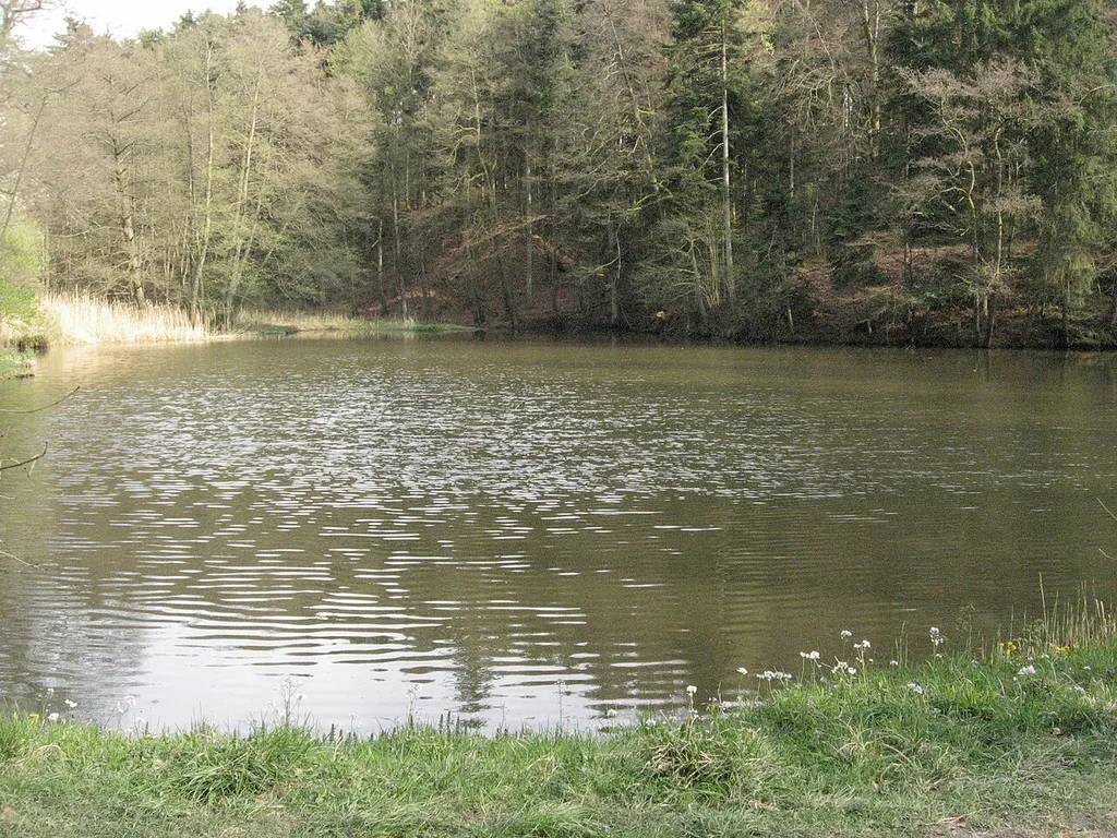 Der vom Schenkenbach durchflossene hintere Schenkensee in der Mörterklinge, die zwischen Frankenhardt-Markertshofen und Frankenhardt-Hinteruhlberg liegt. Hinter den Bäumen der kleinen Halbinsel im rechten oberen Teil des Bildes liegt der Hügel des Burgstalls Schenkensee.