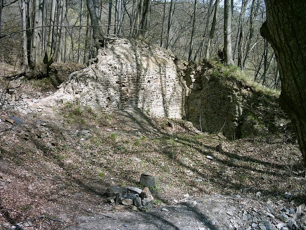 Ruins of castle Vartnov