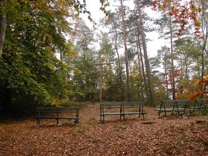 Burg Sterrenberg