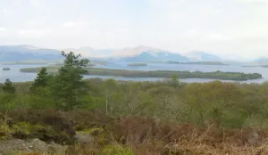 Inchcailloch