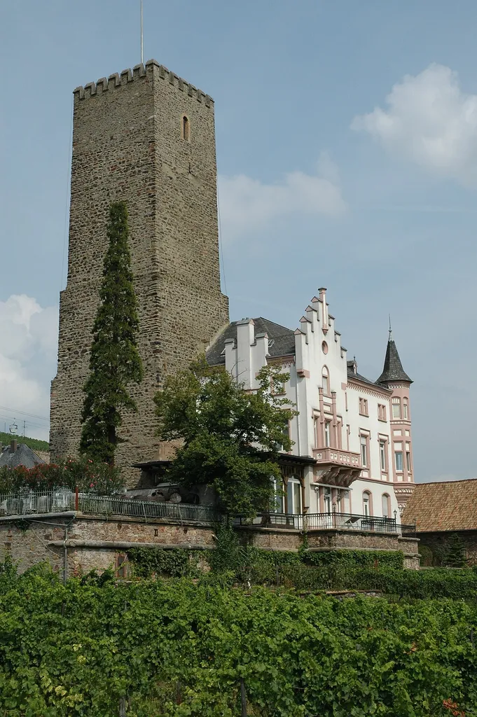 Boosenburg von Südwesten eigenes Foto Peter Weller