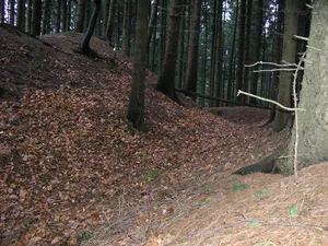 Meesenburg