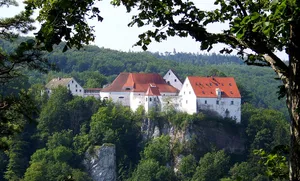 Wildenstein Castle