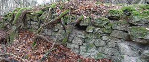 Burg Neuweiler