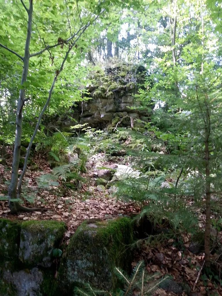 Ruine Turmhölzle