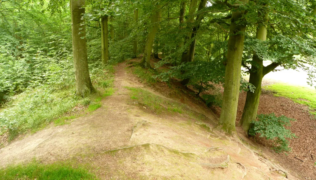 Ringwall der Marienburg