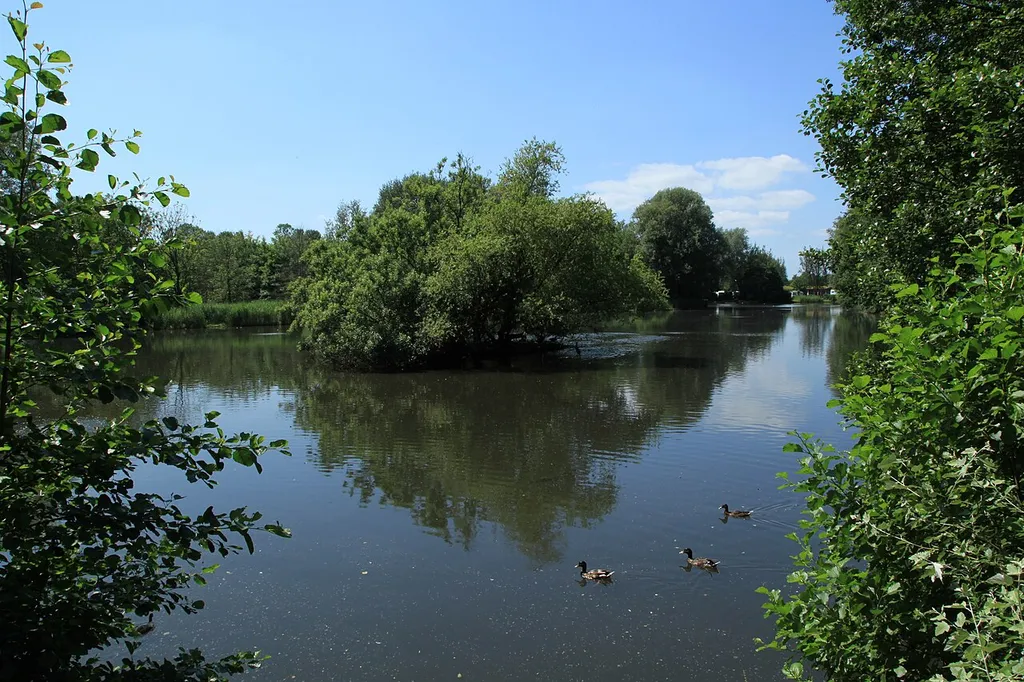 Stadtsee im Hans-Heinemann-Park in Rendsburg