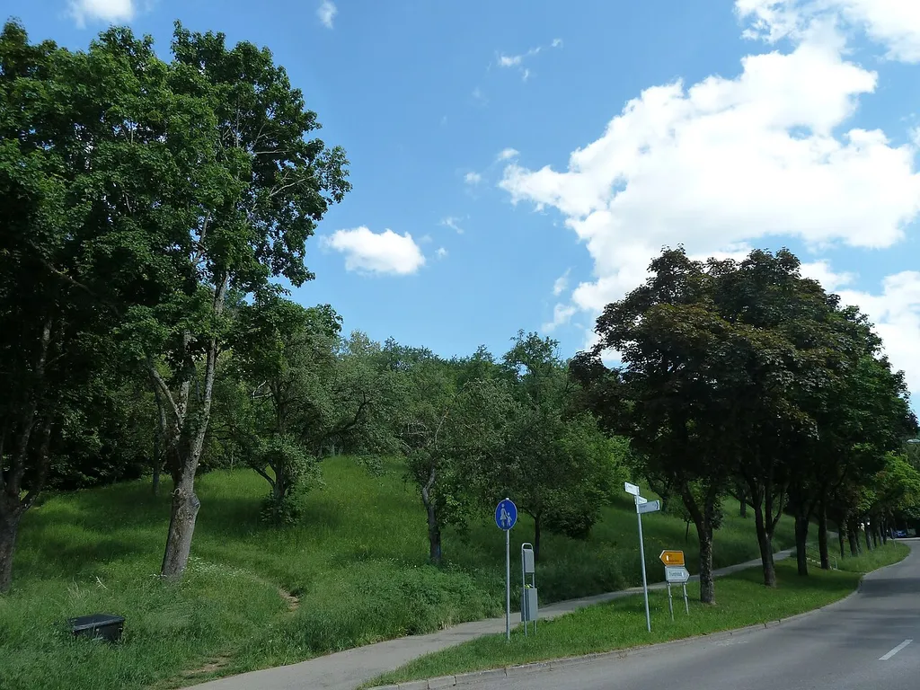 Burgstall mit Baumgruppe